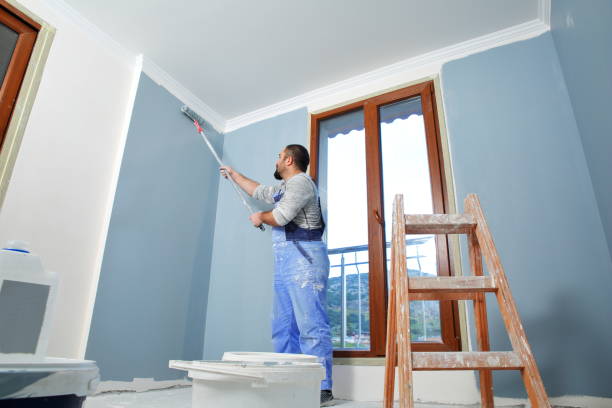 Best Mold Removal for HVAC Installations  in Meeker, OK
