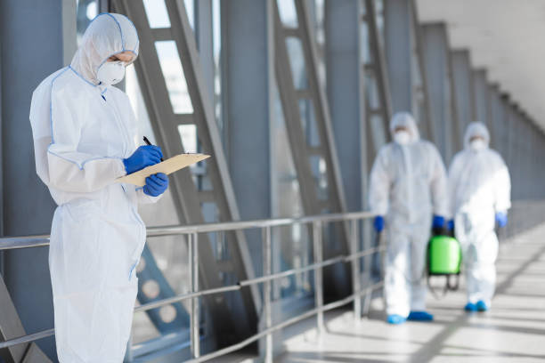 Best Black Mold Removal  in Meeker, OK