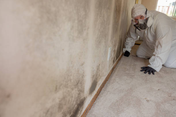 Best Post-Construction Mold Inspection  in Meeker, OK