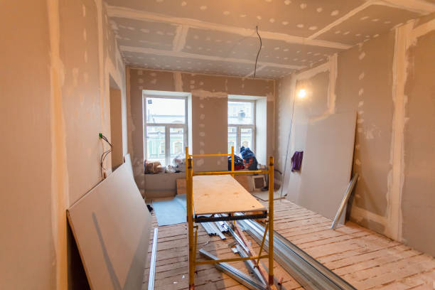 Best Basement Mold Removal  in Meeker, OK
